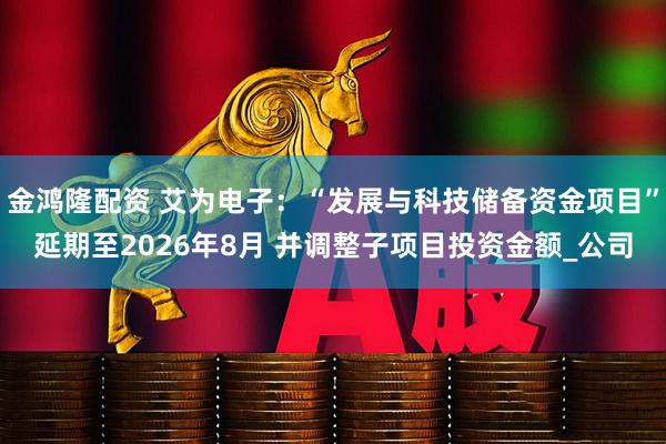 金鸿隆配资 艾为电子：“发展与科技储备资金项目”延期至2026年8月 并调整子项目投资金额_公司